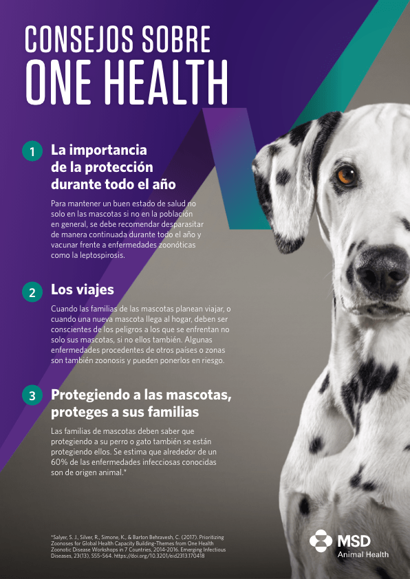 One health Advice cover