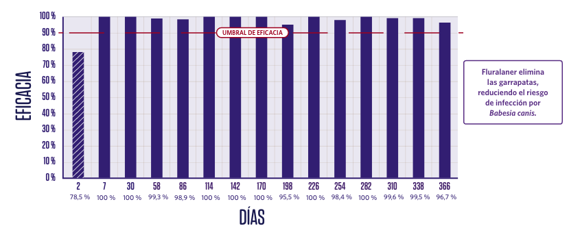 Injectable Graphic